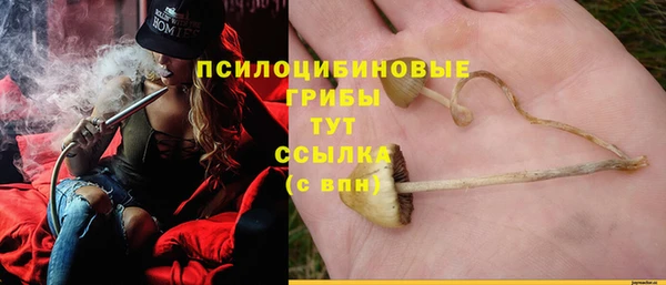 шишки Иннополис