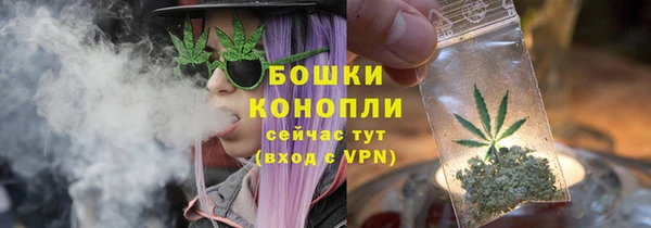 шишки Иннополис