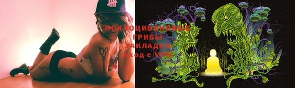 шишки Иннополис
