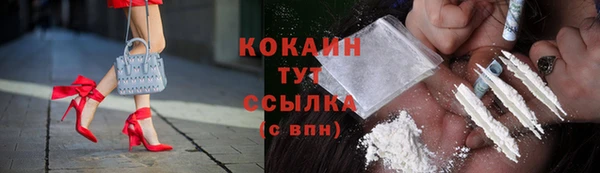 шишки Иннополис
