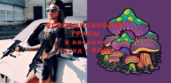 шишки Иннополис