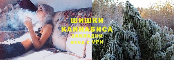 шишки Иннополис