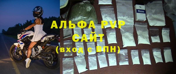 шишки Иннополис