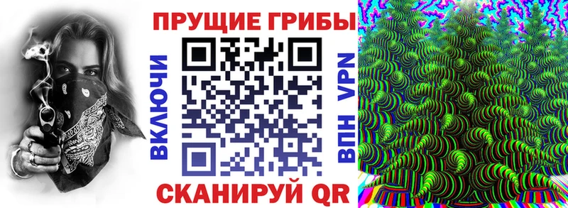 Купить  Ликино-Дулёво  Галлюциногенные грибы Psilocybe 
